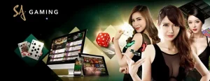 ทดลอง เล่น บา คา ร่า sa